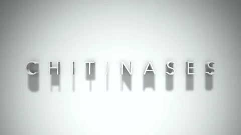 Chitinases 3D title animation with shadows on a white background Stock Footage 297216605