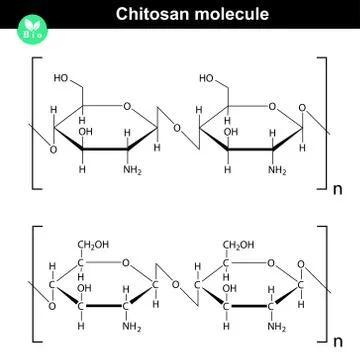 Chitosan molecule structure Illustrazione stock
