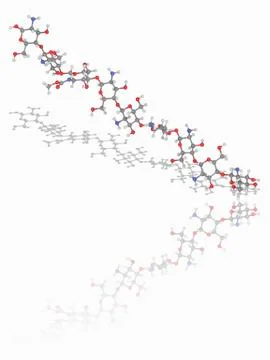 Chitosan polymer chain Stock Illustration