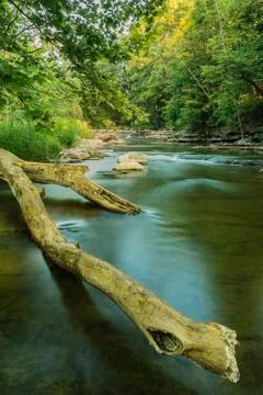 Chittenango Falls Stock Photos