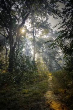 Chitwan National Park Stock Photos