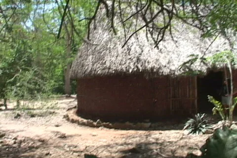 Chitzen Itza 스톡 동영상 634049