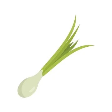 Chive basil icon flat vector. Fresh onion Illustrazione stock