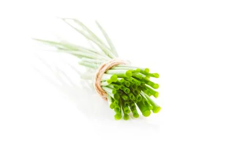 Chive bunch cross section isolated. Stock Photos