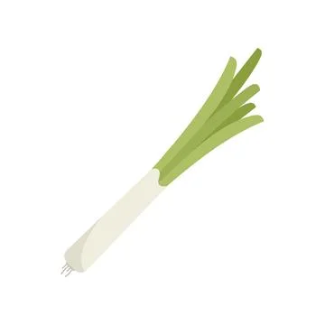 Chive garlic icon flat vector. Chinese onion Illustrazione stock