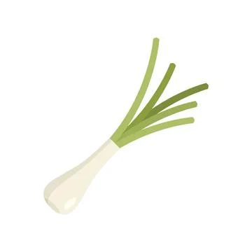 Chive icon flat vector. Onion garlic Stock Illustration