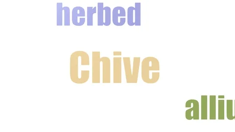Chive Tag Cloud Animated Isolated On White Stock Footage 103654648
