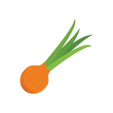 Chive vegetable icon flat vector. Chinese herb Stock Illustration