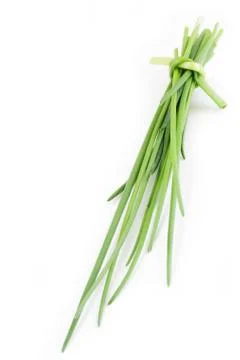 Chive on white background Stock Photos