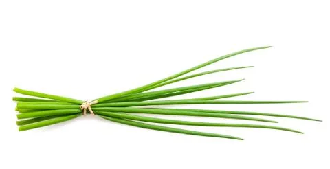 Chives bunch Stock Photos