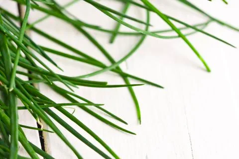 Chives, herbs kitchen Stock Photos