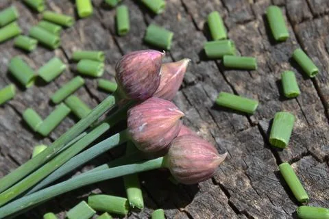 Chives on an old tree trunk Foto stock