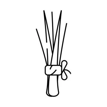Chives onion line icon vector illustration Stock Illustration