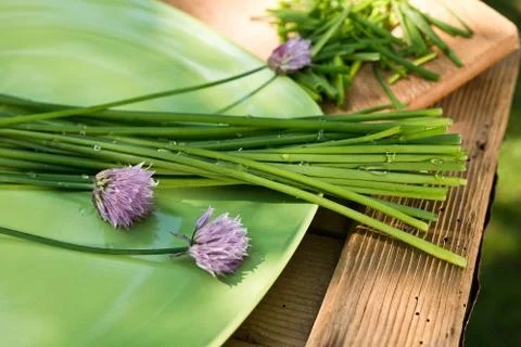 Chives on the plate Foto stock