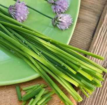 Chives on the plate Stock Photos