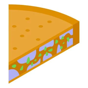 Chives slice icon isometric vector. Fresh onion Stock Illustration