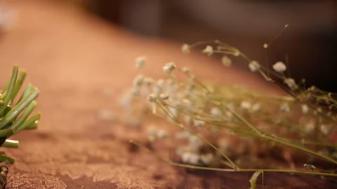 Chives, spring vegetables (1) Stock Footage 202258753