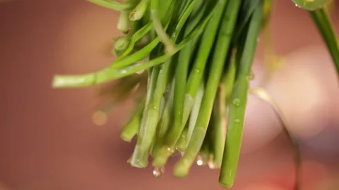 Chives, spring vegetables (3) Stock Footage 202258725