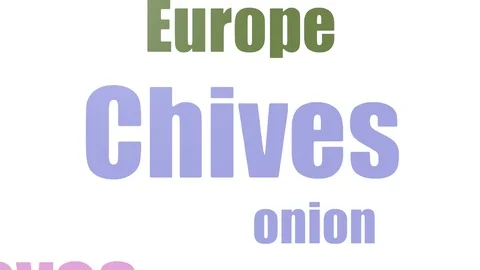 Chives Tag Cloud Animated On White Background Video stock 107216694