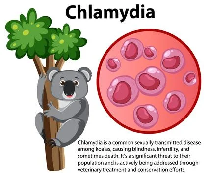 Chlamydia trachomatis with explanation Stock Illustration