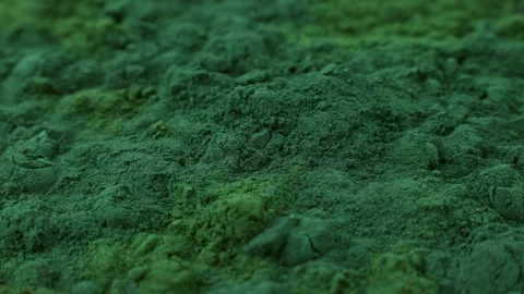 Chlorella or spirulina algae green powder circle rotation close up Stock Footage 303914091