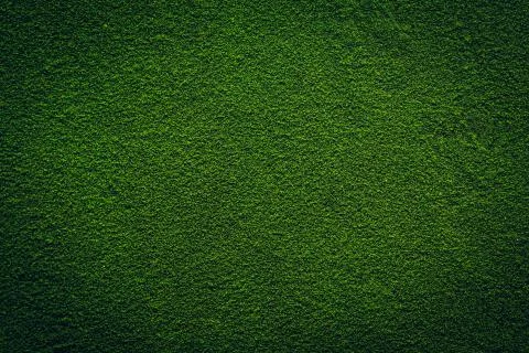 Chlorella powder Background Stock Photos