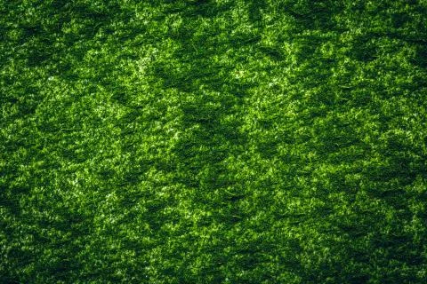 Chlorella powder Background Stock Photos