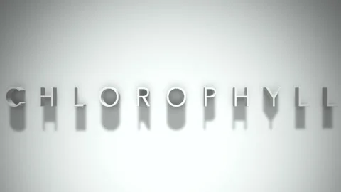 Chlorophyll 3D title animation with shadows on a white background Stock Footage 296664362
