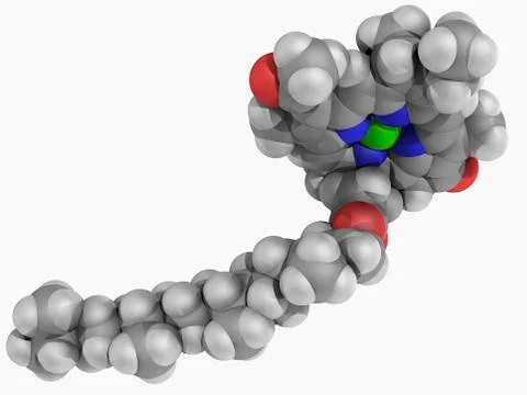 Chlorophyll b molecule Stock Illustration