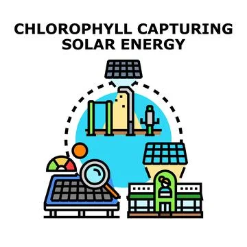 Chlorophyll capturing solar energy concept vector Ilustración de archivo