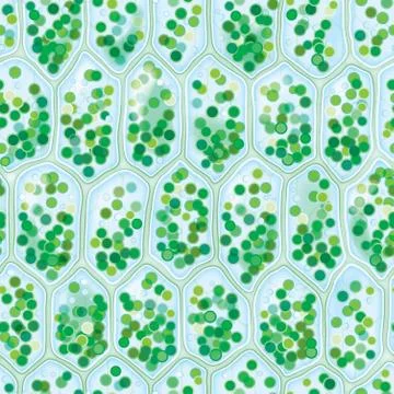 Chlorophyll Cells seamless pattern 스톡 일러스트