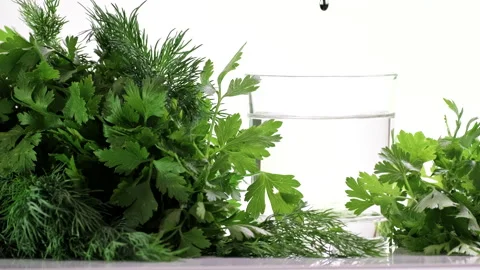 Chlorophyll extract is poured in pure water in glass against Stock Footage 169721480