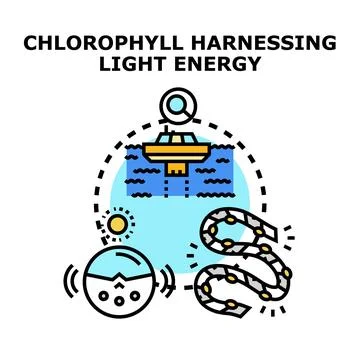 Chlorophyll harnessing light energy concept illustration Stock Illustration
