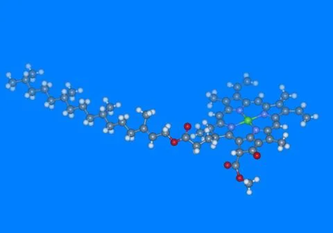 Chlorophyll A molecular model with atoms Stock Illustration