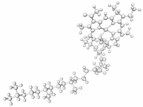 Chlorophyll molecule Stock Illustration