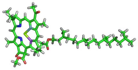 Chlorophyll Molecule Stock Illustration