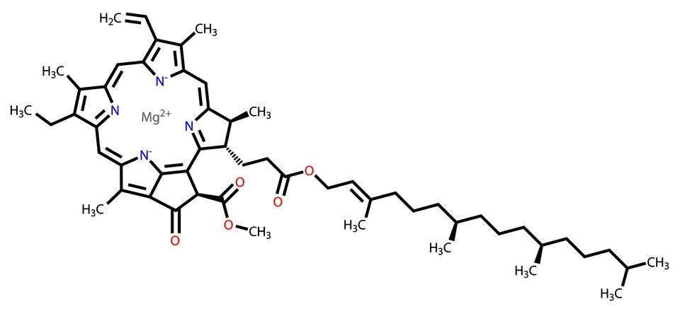 Chlorophyll A structural formula Stock Illustration
