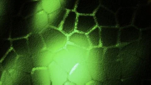 Chloroplast cell animation under the microscope. Motion. Microscopic formation Stockillustratie