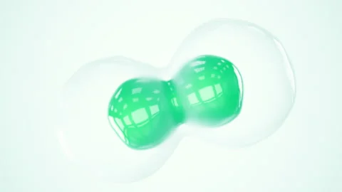 Chloroplast eukaryotic cell animation under the microscope. Green microscopic fo Stock Footage 221613302