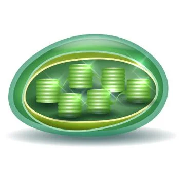 Chloroplast Stock Illustration