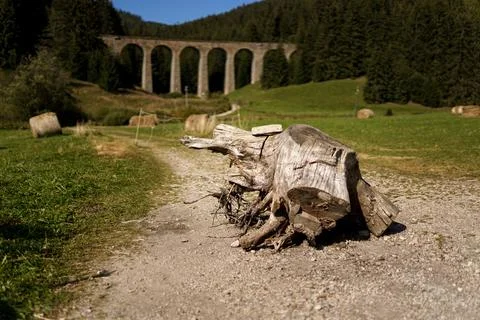 Chmarossky viaduct on the background of the forest, the old railway Foto stock