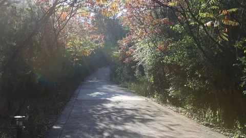 CHN2001014: Path Leading to the Jinshanling Section of GWoC Stock Footage 170515265