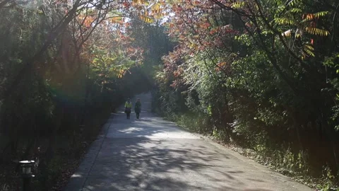CHN2001015: Path Leading to the Great Wall of China Stock Footage 170515222