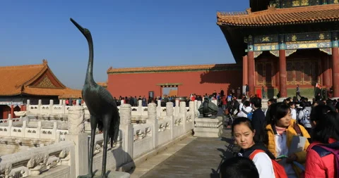 CHN2001910: Crane and Turtle Statues in the Forbidden City Video stock 170398762