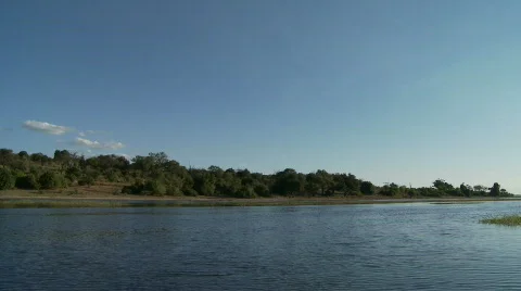 Chobe River Видео 486092