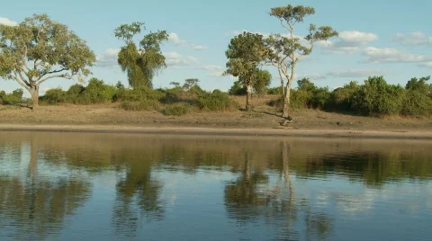 Chobe River 库存影片 486129