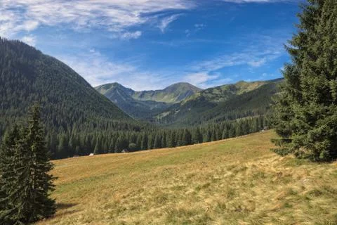 Chocholowska Valley Stock Photos