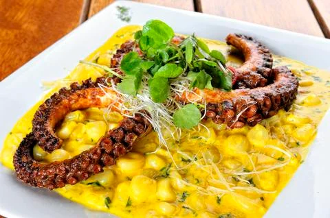 Choclo risotto, with a grilled octopus. On a white background. Stock Photos
