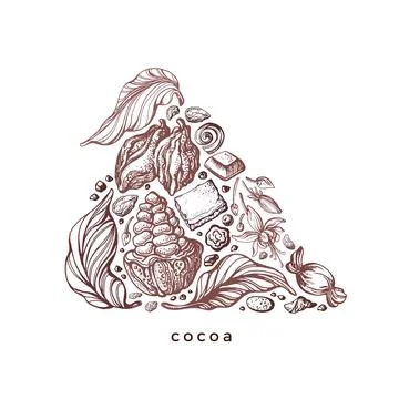 Chocolate and cocoa fruit, nuts. Vector symbol Stock Illustration