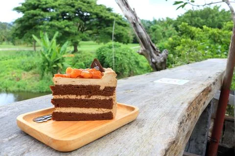 Chocolate and macadamia nut cake on wood plate. Stock Photos